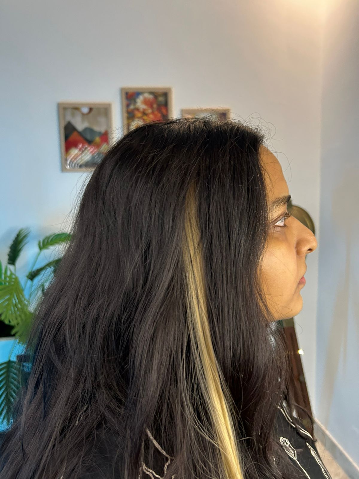 Colored Hair Streaks - Vibrant Clip-On Highlights