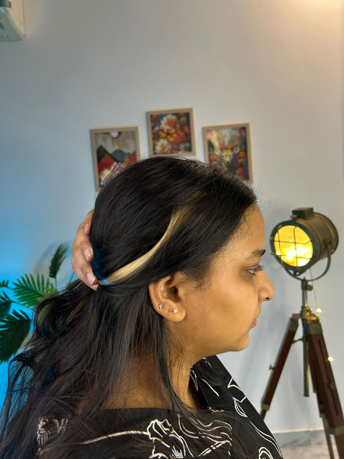 Colored Hair Streaks